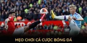 mẹo chơi cá cược bóng đá qq88